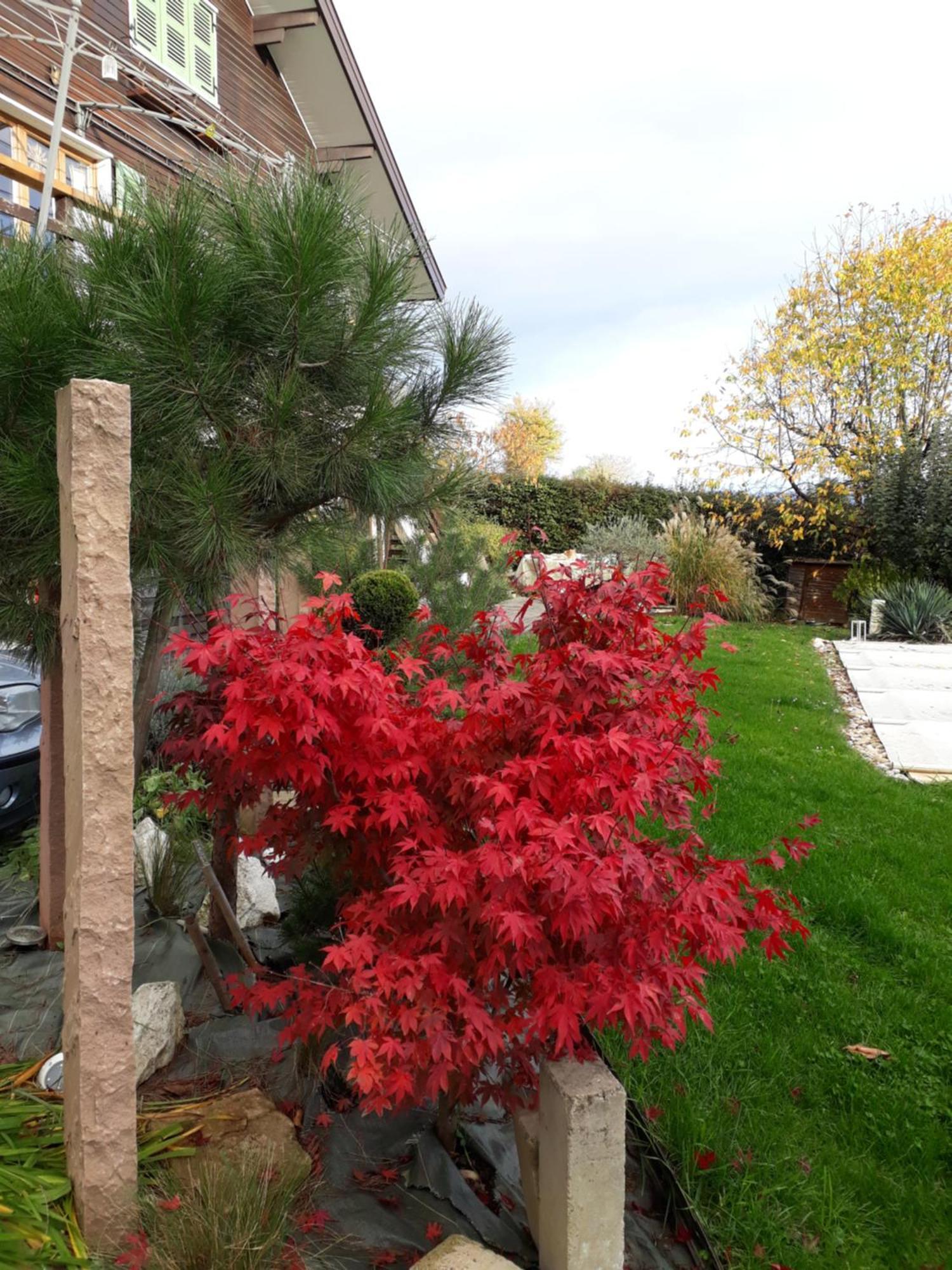 Chalet Norev Saint-Martin-du-Mont Εξωτερικό φωτογραφία